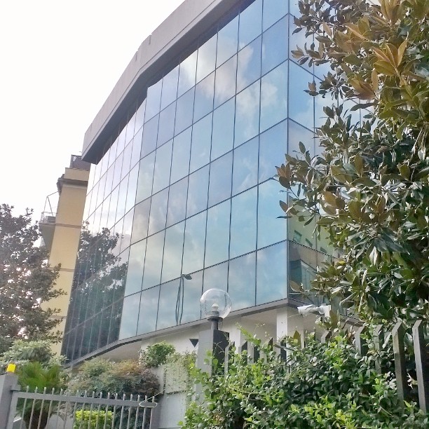 11999037_412964402227859_2297760737432831638_n